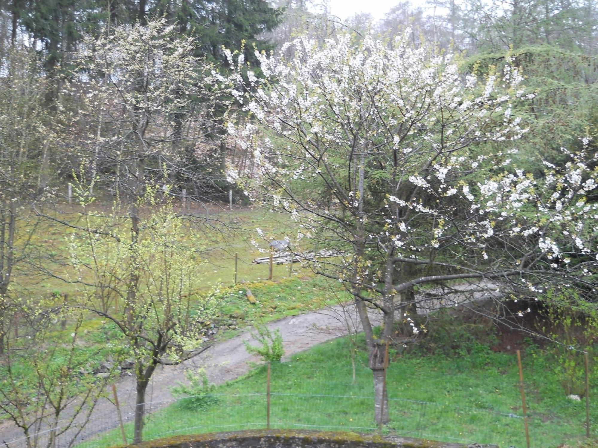 Hotel Le K D'Or Bouillon Zewnętrze zdjęcie